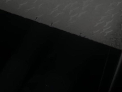 পলিস্টাইরিন শীট