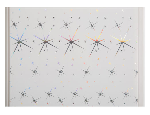 বাথরুমে 25cm 30cm প্রস্থ জন্য আঞ্চলিক আলংকারিক ওয়াটারপ্রুফ ওয়াল প্যানেল