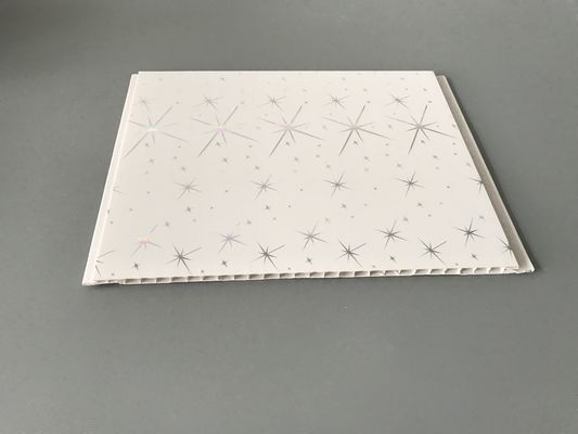 বাথরুমে 25cm 30cm প্রস্থ জন্য আঞ্চলিক আলংকারিক ওয়াটারপ্রুফ ওয়াল প্যানেল