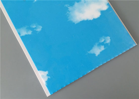 নীল স্ক্রীন গ্যারেজ সংস্থা ওয়াল প্যানেল, বাথরুমে জন্য ভেতরের দেওয়াল প্যানেল