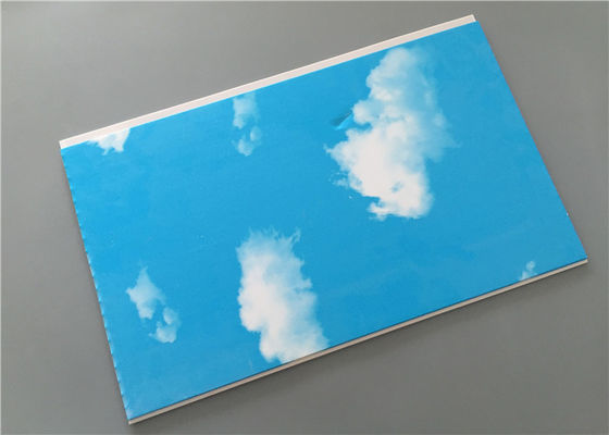 নীল স্ক্রীন গ্যারেজ সংস্থা ওয়াল প্যানেল, বাথরুমে জন্য ভেতরের দেওয়াল প্যানেল